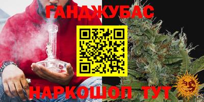 PSILOCYBIN Заводоуковск